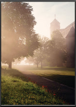 Lade das Bild in den Galerie-Viewer, Festung Marienberg Poster Würzburg