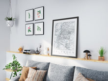 Lade das Bild in den Galerie-Viewer, Erlangen Poster Stadtplan/Straßennetz (weiß)